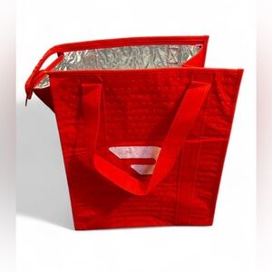 DoorDash Insulated Food Delivery Tote Bag Red Zip Closure 13x15x9.5”